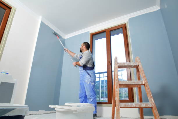 Best Mold Prevention Services  in Joliet, IL