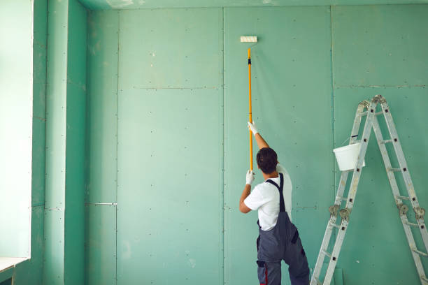 Best Comprehensive Air Testing for Mold Contaminants  in Joliet, IL