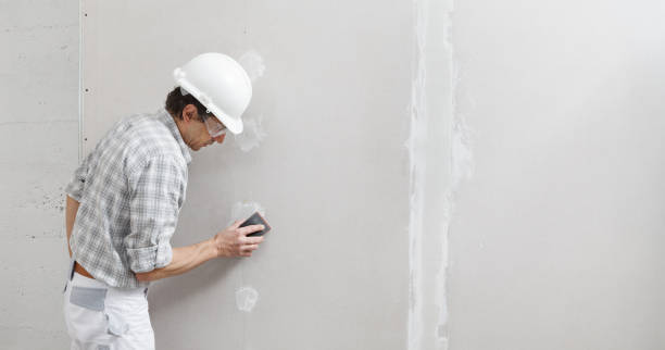 Best Forensic Mold Investigation  in Joliet, IL