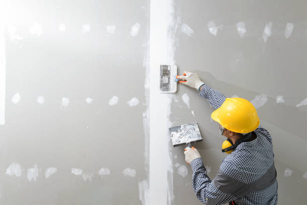 Best Mold Remediation for Healthcare Facilities  in Joliet, IL