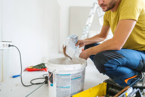 Best Mold Odor Removal Services  in Joliet, IL
