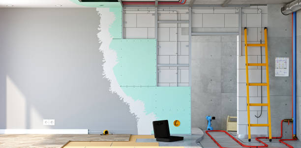 Best Biohazard Mold Removal  in Joliet, IL