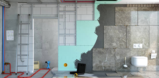 Best Black Mold Removal  in Joliet, IL