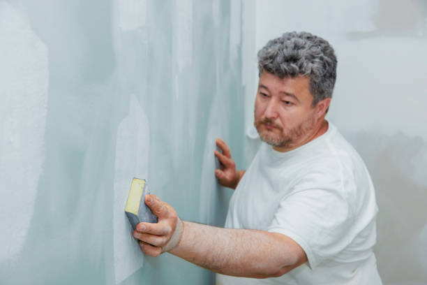 Best Airborne Mold Testing  in Joliet, IL