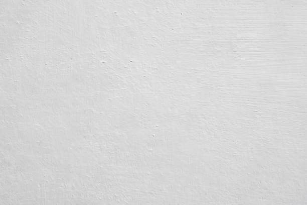 Best Commercial Mold Inspection  in Joliet, IL