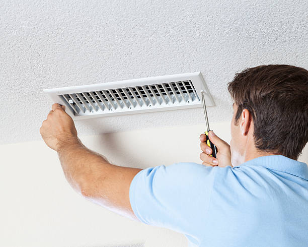 Professional Mold Removal in Joliet, IL