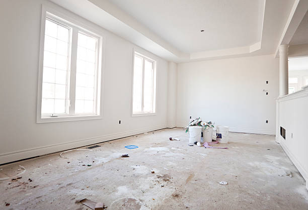 Best Mold Remediation for Rental Properties  in Joliet, IL